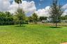 Expansive backyard featuring a manicured lawn, perimeter chain-link fencing, mature trees, and palm vegetation