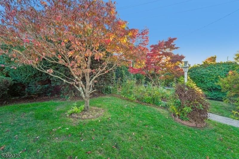 Beautiful Landscaping