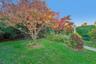 Beautiful Landscaping