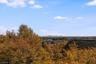 View from Primary