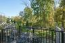 Deck Views