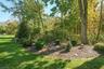 Wooded Views