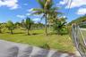 Expansive outdoor acreage featuring mature palm trees, lush landscaping, and a chain-link perimeter fence