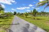 Asphalt driveway bordered by mature palm trees and expansive grassy acreage