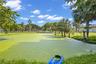 Waterfront grounds featuring a pond, mature palm trees, expansive lawn, and partial structure exterior