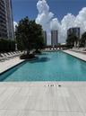 Swimming pool featuring light-toned tile decking, built-in planters with mature trees, and a rectangular perimeter