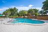 Freeform pool with a water feature, stone retaining walls, paved deck, and mature palm landscaping