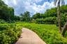 Manicured lawn, paved walkway, mature palms, and extensive landscaping