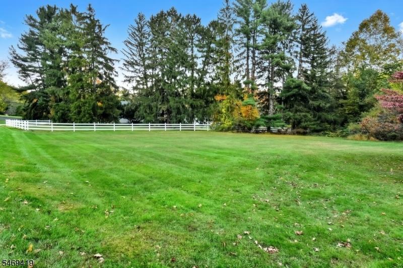 Expansive Yard