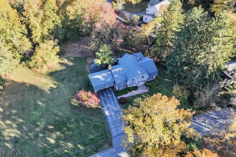 Birds Eye View
