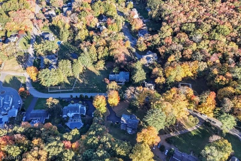 Birds Eye View
