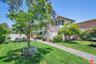 Mature trees and open lawn