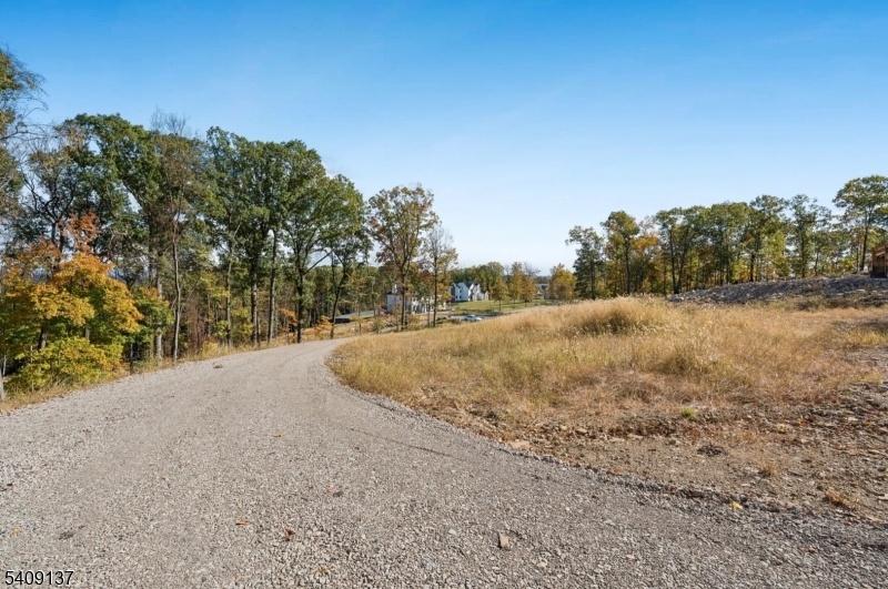 Driveway and view