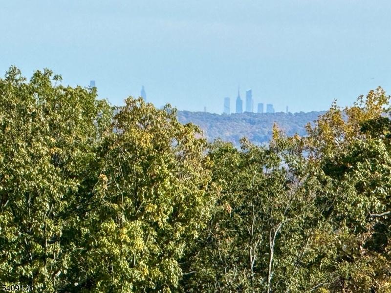 Yes, that is NYC.