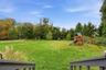 Lush Backyard