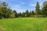 Lush Backyard