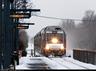 Dunellon Train