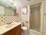 Lower Level Bathroom
