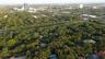 Aerial perspective of a heavily wooded residential landscape featuring mature canopy trees and expansive suburban greenery