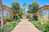 Exterior walkway featuring concrete pavers, stucco siding, mature tropical landscaping, and integrated exterior lighting