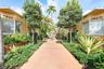 Exterior courtyard featuring a concrete walkway, lush tropical landscaping, mature trees, and building facades with large glass windows