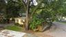 Exterior view featuring a yellow stucco residence, mature oak trees, paved driveway, and perimeter wood fencing
