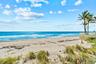 Expansive sandy beach with ocean waves, framed by natural dune grasses and established palm trees