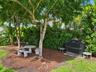 Landscaped backyard featuring mature trees, wood mulch ground cover, and dense privacy hedges