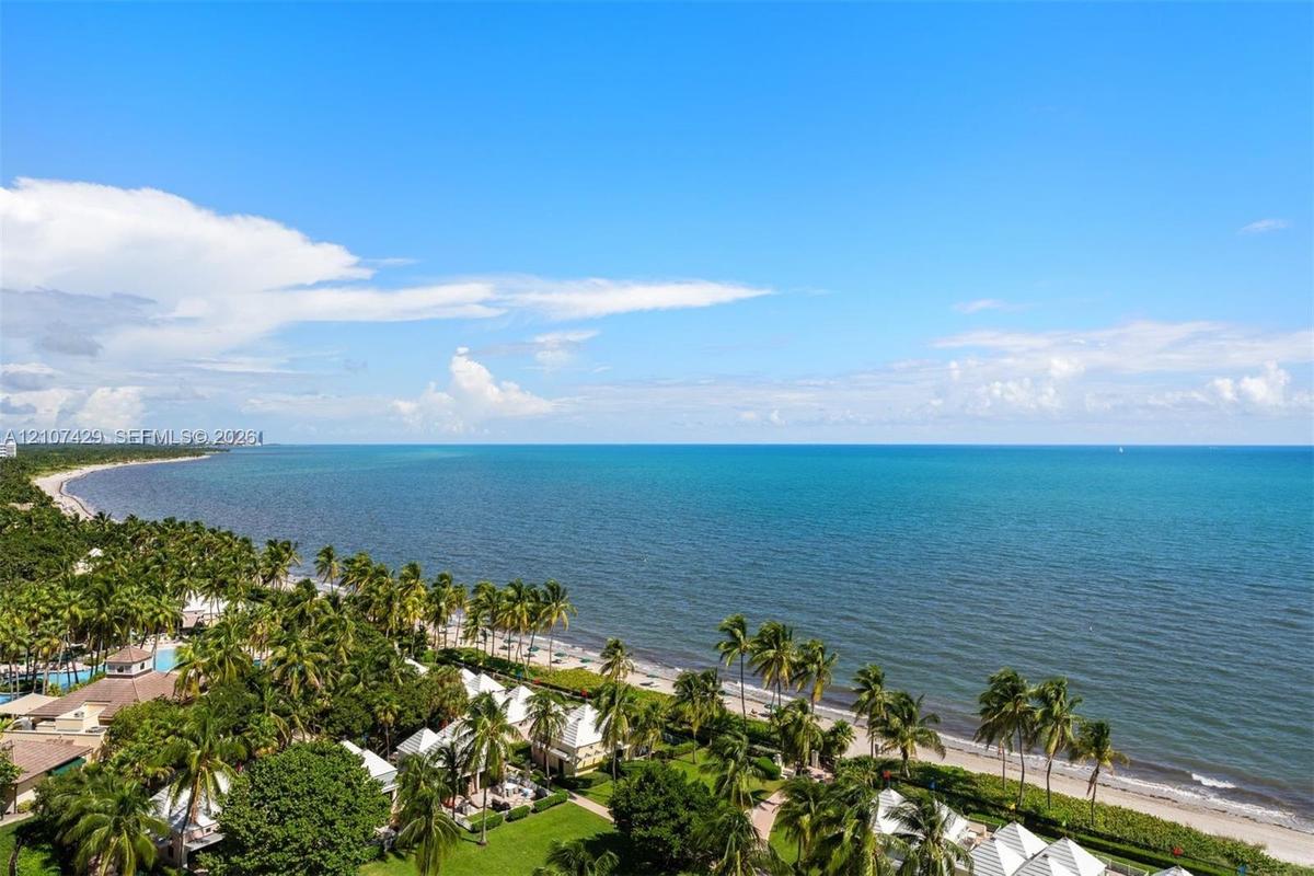 Elevated coastal scenery featuring an expansive shoreline, dense palm tree clusters, manicured green space, and open water horizon