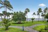 Waterfront grounds featuring mature palm trees, expansive lawn space, and paved pathways