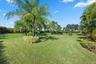 Expansive lawn featuring mature palm trees and manicured shrubbery
