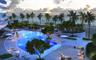 Curvilinear swimming pool featuring stone-paved decking, mature palm trees, and direct oceanfront access