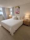 Neutral-toned room featuring wall-to-wall carpeting and multiple windows with integrated blinds