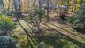 Expansive Yard