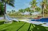 Outdoor pool area featuring a blue-tiled swimming pool, synthetic turf lawn, metal perimeter fencing, and mature palm trees
