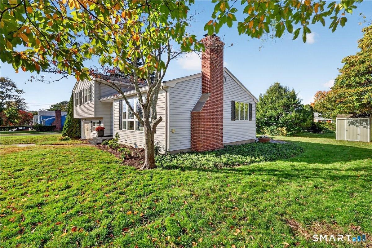 Side Yard