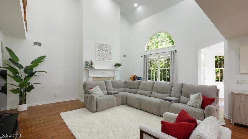 Bright Living Room