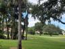 Expansive grounds featuring mature shade trees, established palm trees, and manicured green space