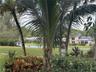 Exterior featuring mature tropical landscaping, palm trees, and a water feature