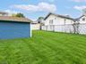 backyard 2