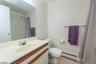 Lower level Bathroom