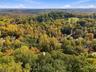 Fall foliage has arrived
