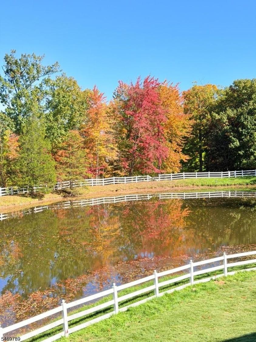 Pond view in back yard