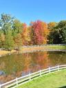 Pond view in back yard