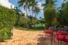 Private backyard featuring a brick patio, in-ground swimming pool, manicured lawn, and mature palm trees enclosed by tall hedging