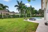 Backyard featuring a concrete patio, swimming pool, mature palm trees, and perimeter privacy hedges