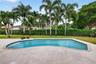 Outdoor pool featuring a masonry border, concrete patio, mature palm trees, and perimeter hedging
