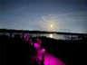 Multicolor Dock Lights