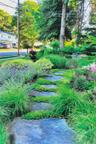 Beautiful Walkway