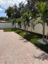 Outdoor patio featuring concrete pavers, synthetic turf, mature palm trees, decorative stone mulch, and a privacy wall